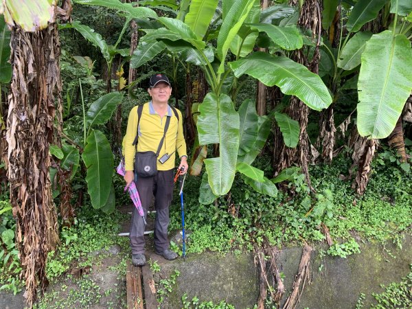 20250614南投南鳳凰山2813243