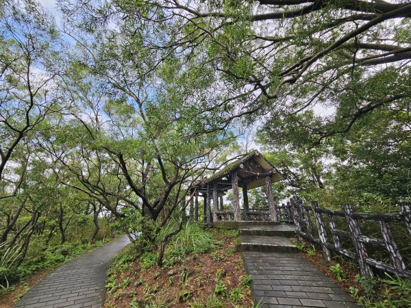 軍艦岩、丹鳳山親山步道3110716
