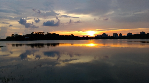 諸羅八景之首~紅毛埤夕照54571