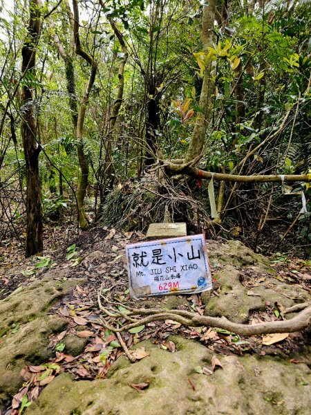 2025年臺北大縱走第四段：風櫃口至中華科大2756002