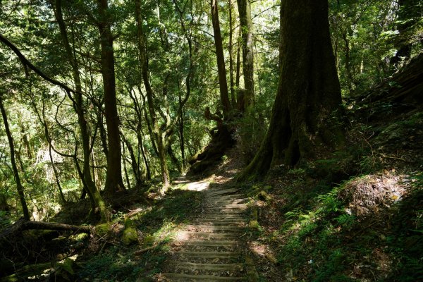 南橫三星 | 前緣再續。關山風月登庫哈諾辛、塔關山順訪中之關。1780131