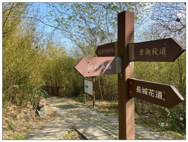 老崎古道、老崎坪頂山 (頭份)2737200