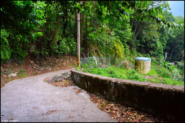 馬崙山..華麗的森林步道..谷關七雄 350593