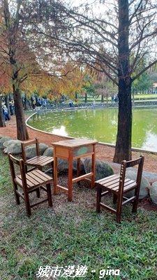 【南投名間】欣美創意園區~落羽松2968336