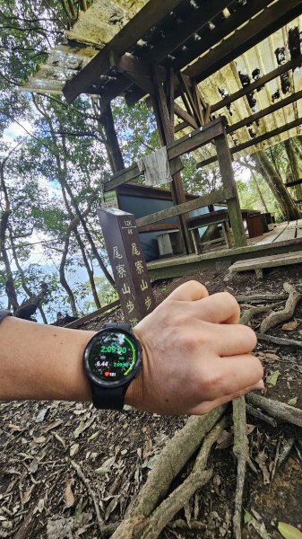 250105-七衝魔王小百岳#073尾寮山。開春第一走，最愛仍是你。2697969