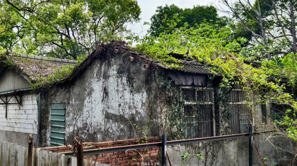 【台灣健行】霧峰．光復：日光滲透的紅磚記憶。3034098