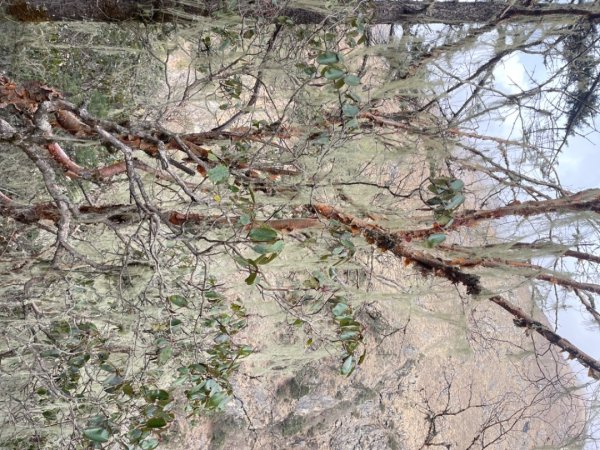 尼泊爾聖母峰EBC基地營❤️風景篇2790973