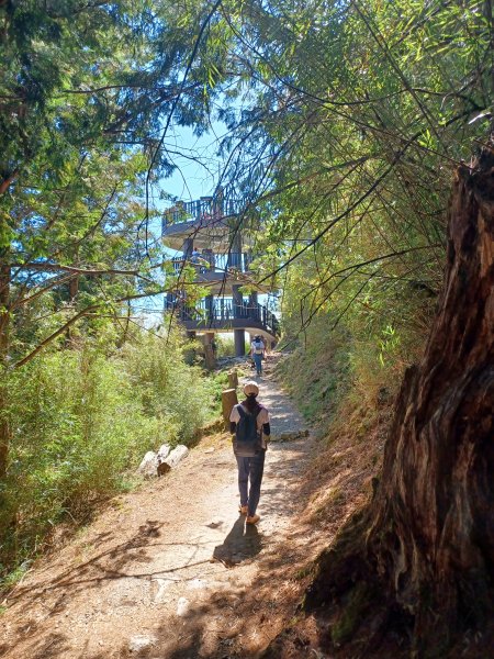 【台中和平】大雪山啞口觀景台步道2933081