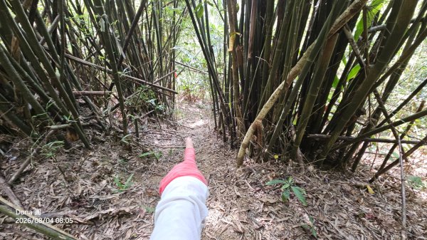 頭城農場→梗枋百年古道→坪溪古道→象寮古道→石空古道→石空山→岩藏山O型3097574