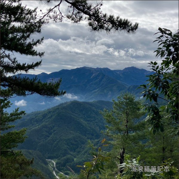 【羅馬縱走】山林巨木饗宴，夏季避暑的縱走路線2888197