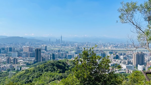金面山親山步道2867836