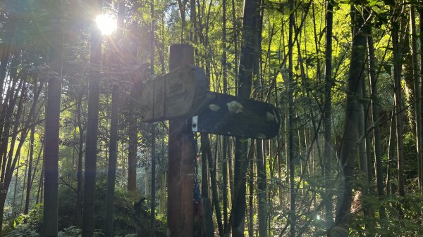 溪頭鳳凰山-台寅山-天文台-環繞_202311242358908