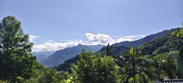 2025/06/28_馬胎+南坪古道2823754