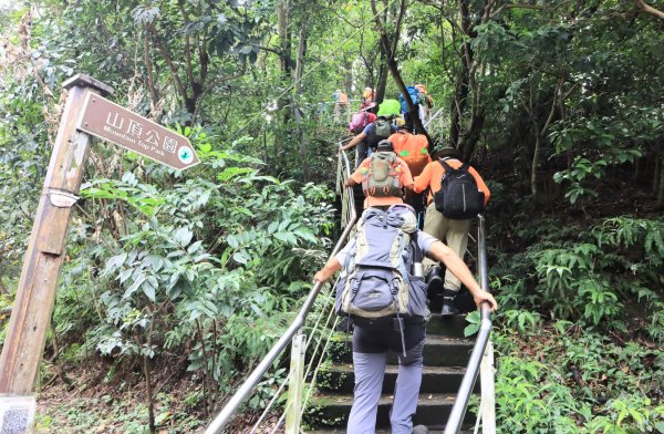 台北天際線泰山段2799094