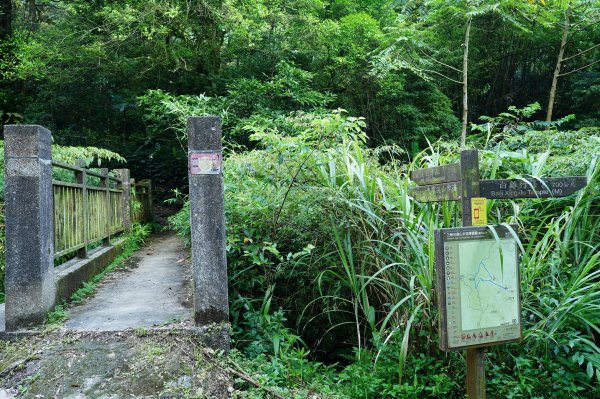 新北 三峽 白雞山、雞罩山2551201