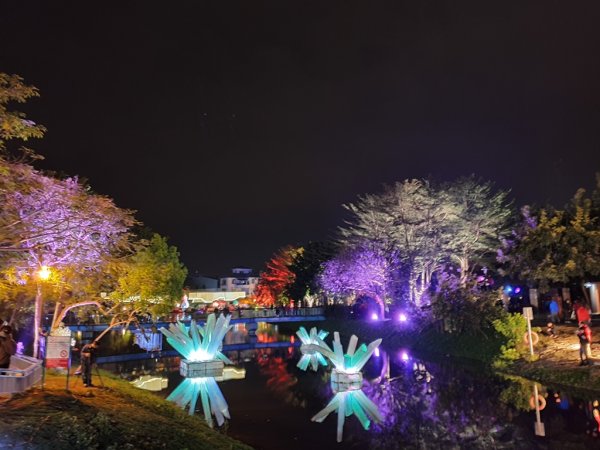 【鹽水-2020月津港燈節】來企賞水燈822485