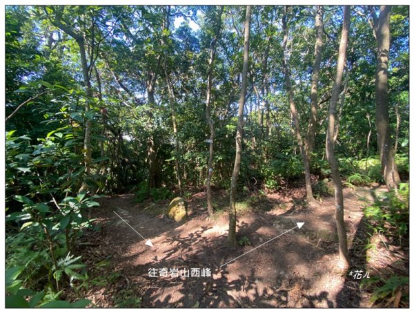 烏尖連峰縱走18基石 ( 唭哩岸山、軍艦岩、丹鳳山 )2980897