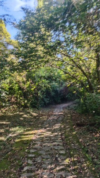 仁山植物園1747608