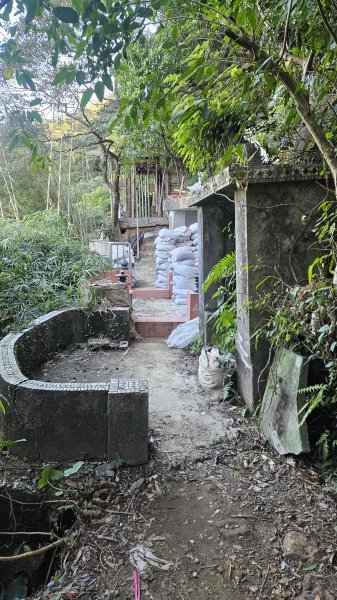 20260115基隆山主東峰2982647