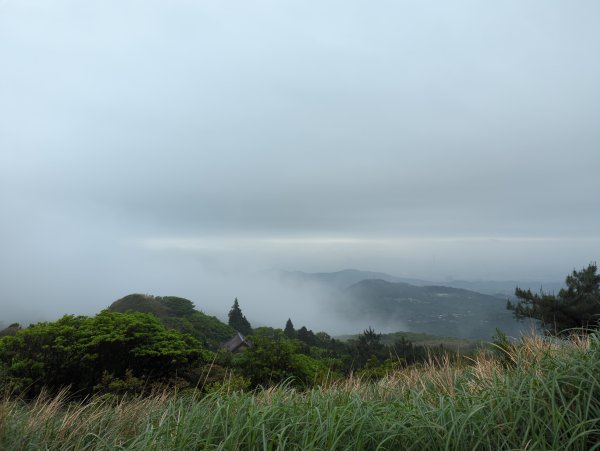 2023.04.22－七星山步道2123975