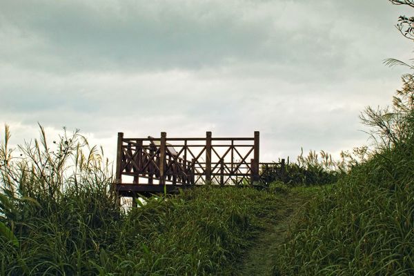 基隆山主支線O型315571