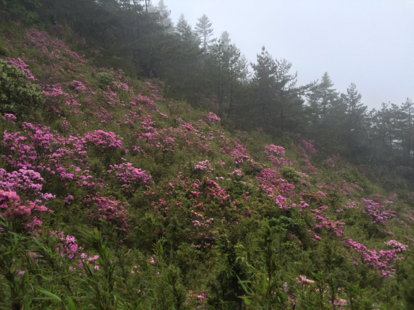 雨下不停的南湖群峰1083238