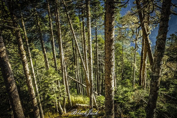 雪山主峰一日單攻963336