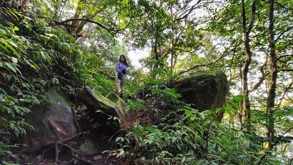 油羅山202503092731891