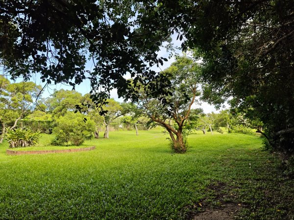 [百山百鳥尋旅-02/15] 2025_0809 社頂自然公園步道2856892