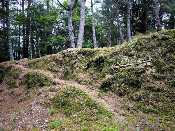 2026-05-23 小雪山防火巷、拾丸山南峰3062350