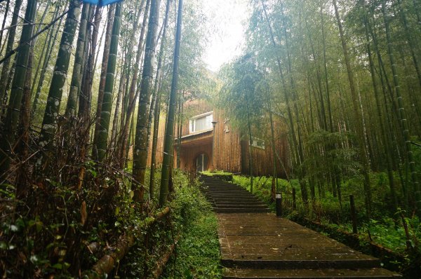 溪頭自然教育園區2016940