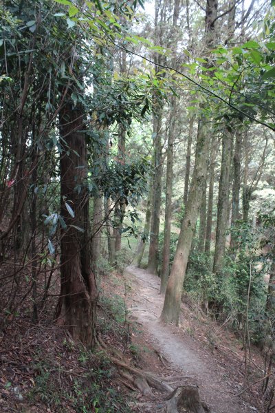 20210410台中鳶嘴山稍來山縱走1348488