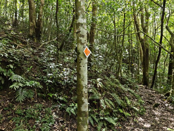 2025_0601 赫威山2802311