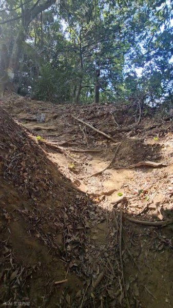20251223芎林文林古道O走+雞寮坑山+芎林顯伯公野餐2975942