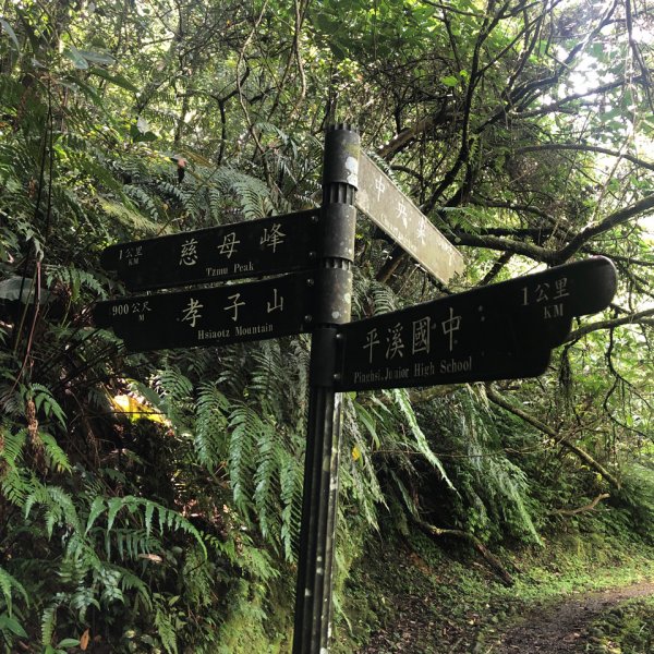 臭頭山 到 東勢格山1009243