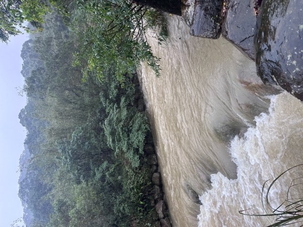 2024草嶺古道芒花季草嶺古道2644790