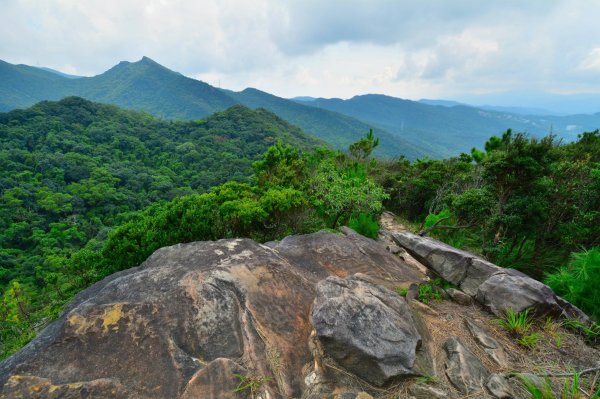 夢湖-新山-柯子林-如意湖-金明山1458853