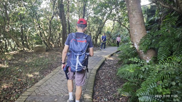 20251109 士林站到大湖站(福山宮_腰繞_燕溪古道_翠山步道_龍船岩_大溝溪)2932348