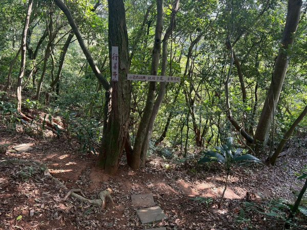 新北 林口 森林步道3015287