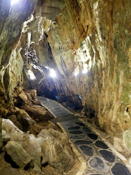 墾丁國家森林遊樂區步道群-(屏東)臺灣百大必訪步道2731250