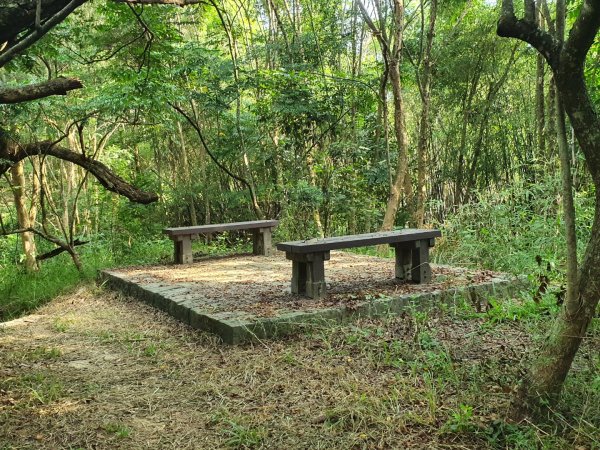 六甲赤山步道，鎮南宮後山步道1117715