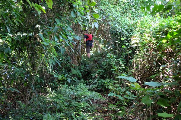 新竹關西鎮 赤柯山四連峰O型2284524