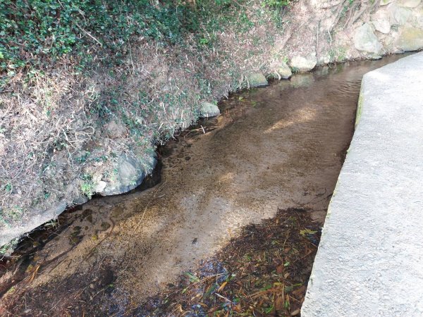 橫嶺古道-半嶺古道1582113