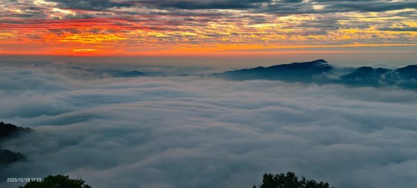 #馬那邦山 #夕陽 #雲海 #火燒雲 12/282971590