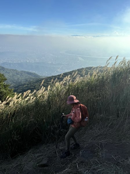 二子坪步道 經遊憩區 上面天山 202511082935060