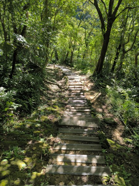 20250928微笑山線：【二格山系】銀河洞越嶺段2896178