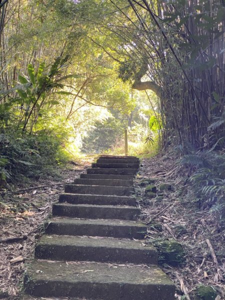 2023/12/08 猴山岳步道 二格山列縱走2396823