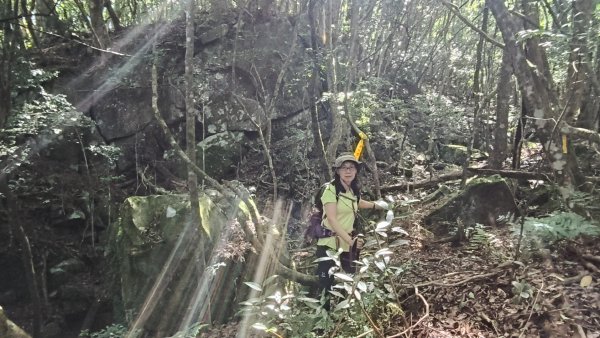 大混李棟山2816339