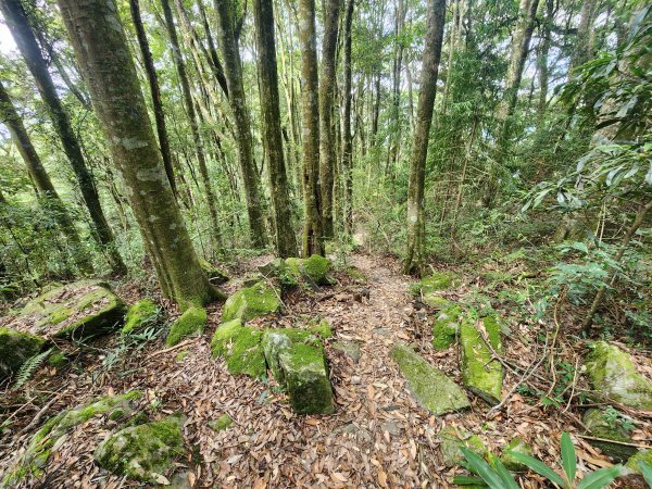 20250831鳶嘴稍來2928621