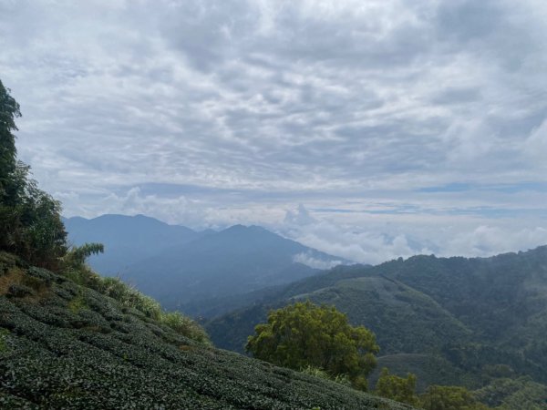 1111007雲嘉五連峰2652966